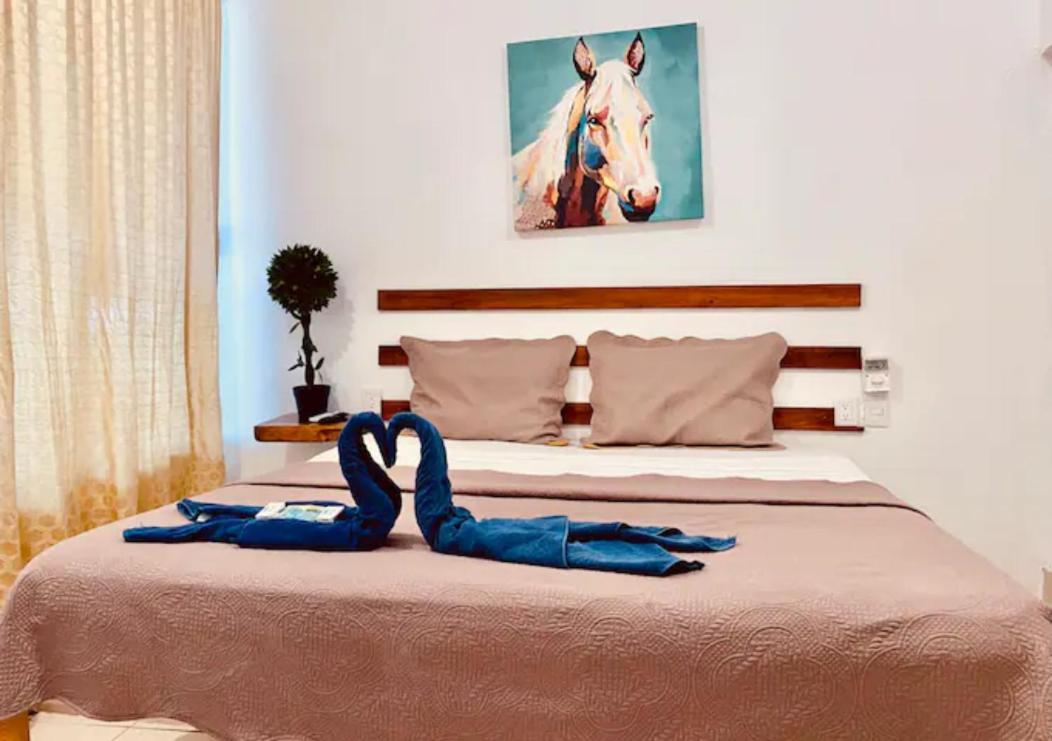 Ximajo Casa Piedra Ξενοδοχείο Brisas de Zicatela Εξωτερικό φωτογραφία